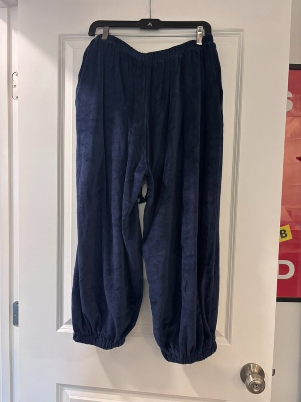 Free People FP Movement Momentum Balloon Pants - Picture 11 of 11